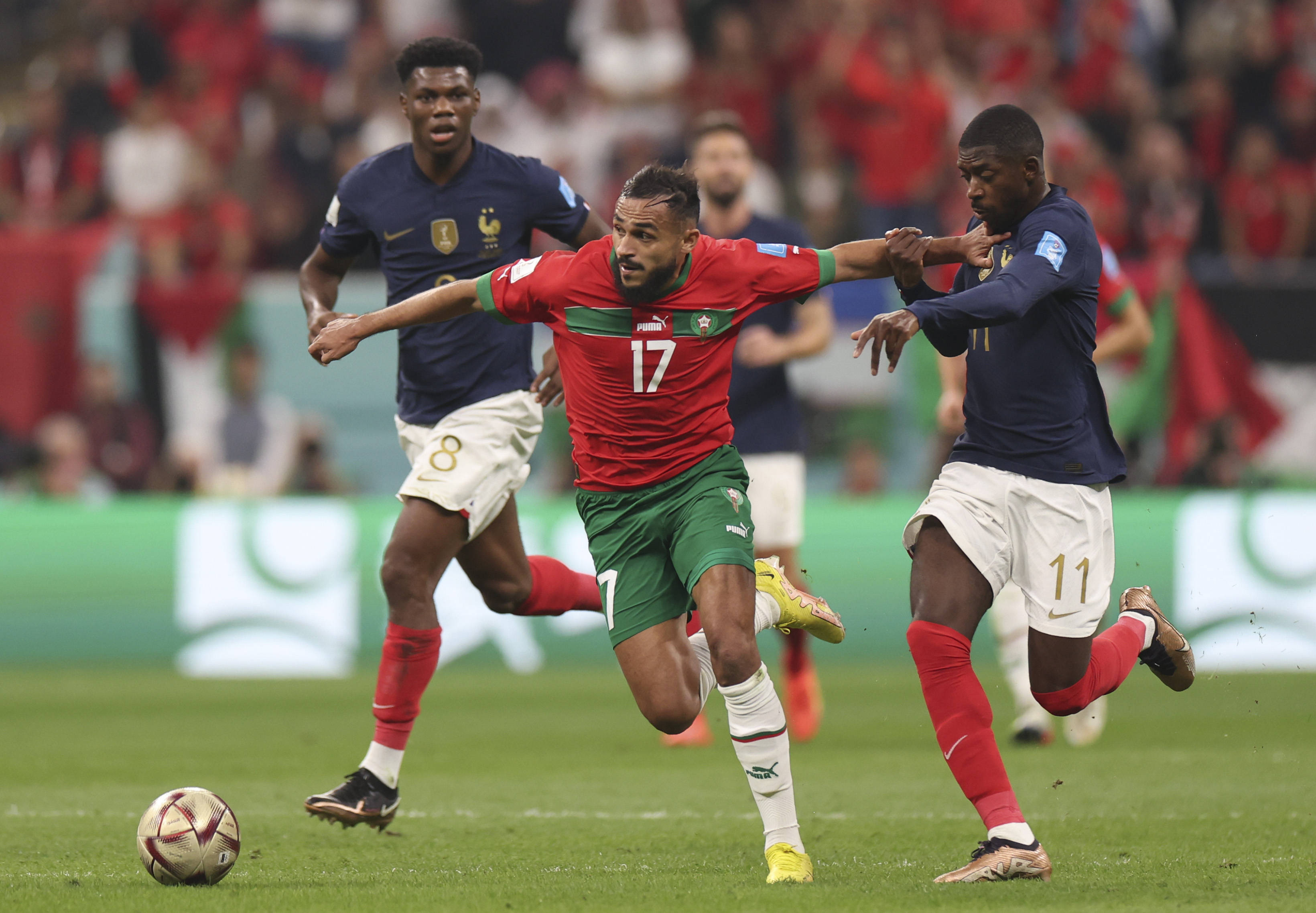 给了俞泽辰 给了俞泽辰